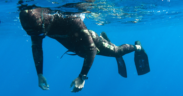 two divers under water