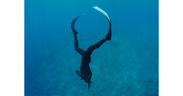 two divers under water